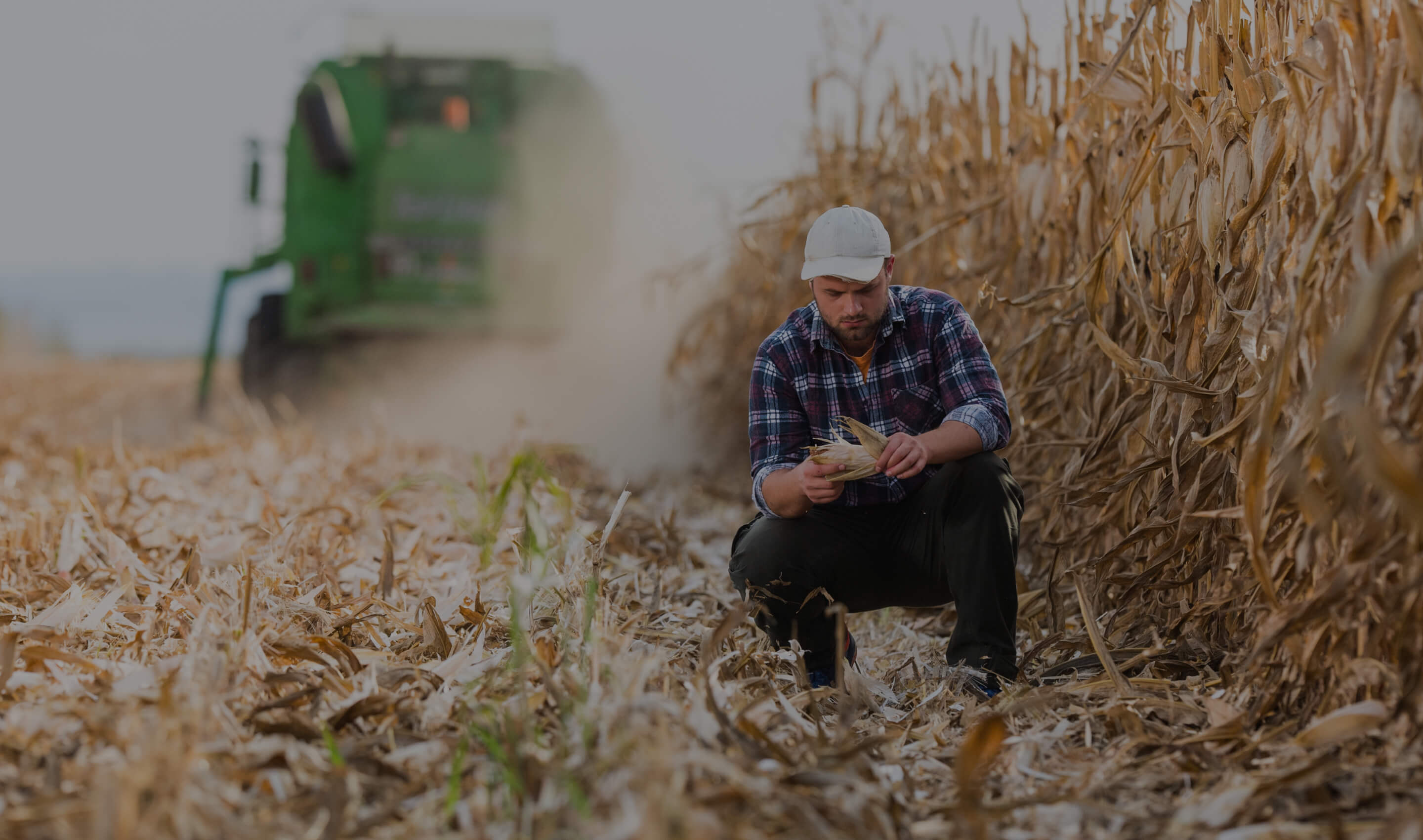 Osiguranje usjeva i nasada